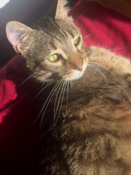 Lenny Bild von Lenny
