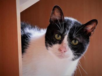 Derek Bild von Derek