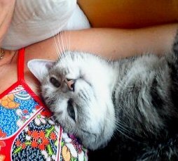 Daira Bild von Daira