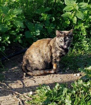 Tabita Bild von Tabita