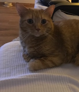 Anakin Bild von Anakin