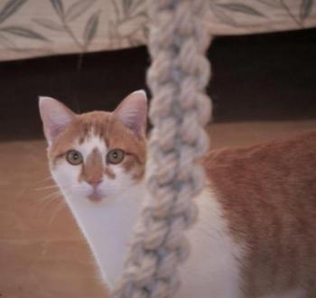 Bild von Curro