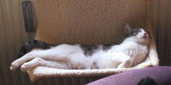 Irina Bild von Irina