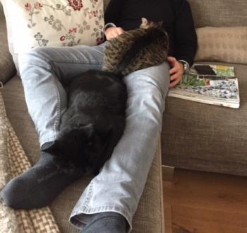Miki Bild von Miki
