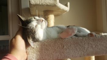 Clarita Bild von Clarita