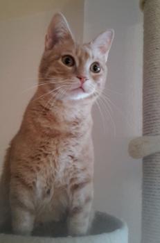 Yuki Bild von Yuki