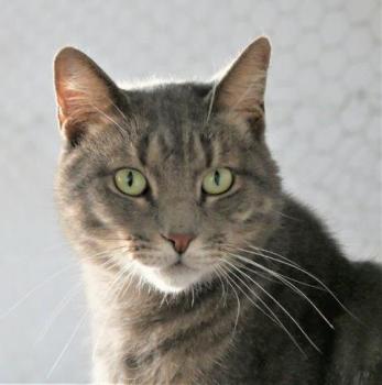 Pablo Bild von Pablo