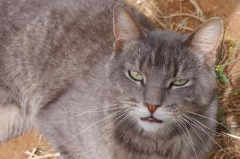 Pablo Bild von Pablo