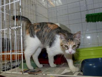 Bela Bild von Bela