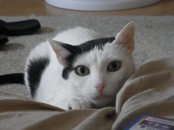 Gina Bild von Gina