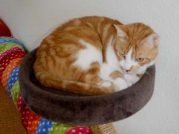 Rubi Bild von Rubi