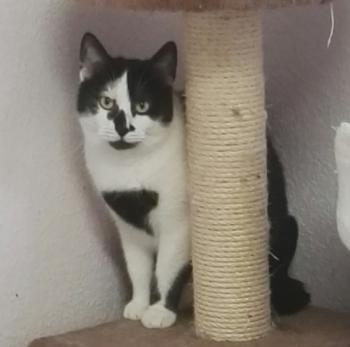 Prinzessin Bild von Prinzessin
