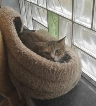 Margaret Bild von Margaret