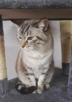 Pablito Bild von Pablito