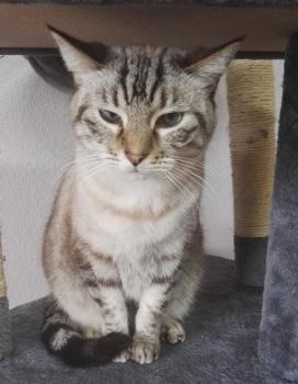 Pablito Bild von Pablito