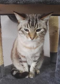 Pablito Bild von Pablito
