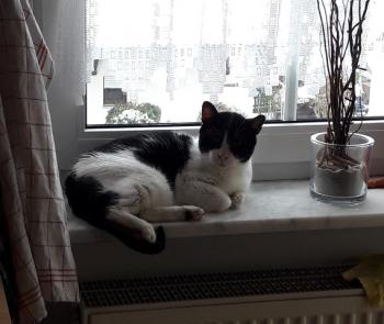 Derek Bild von Derek
