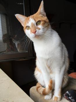 Bild von Curro