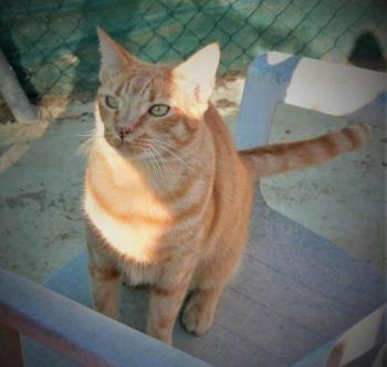 Neila Bild von Neila