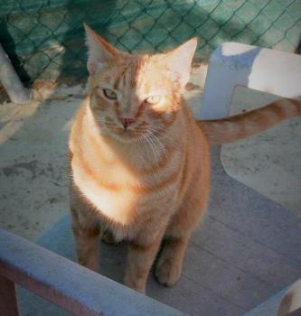 Neila Bild von Neila