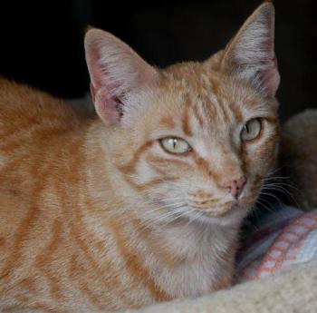 Neila Bild von Neila