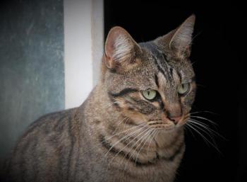 Miika Bild von Miika