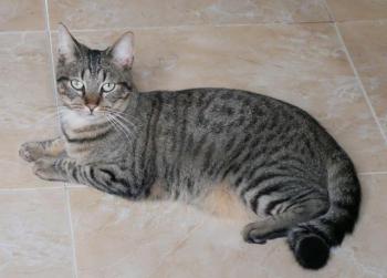 Miika Bild von Miika