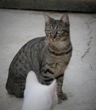 Miika Bild von Miika