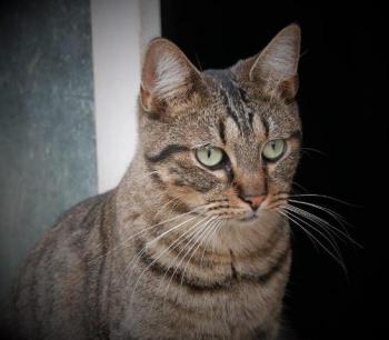 Miika Bild von Miika