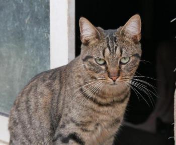 Miika Bild von Miika