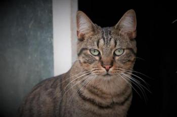 Miika Bild von Miika