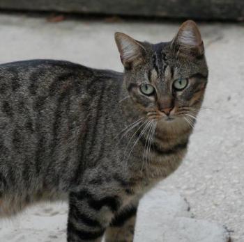 Miika Bild von Miika