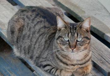 Miika Bild von Miika