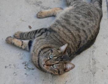 Miika Bild von Miika