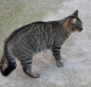 Miika Bild von Miika