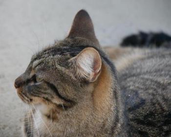 Miika Bild von Miika