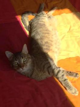 Lenny Bild von Lenny
