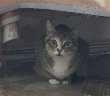 Margaret Bild von Margaret