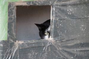 Sabrina Bild von Sabrina