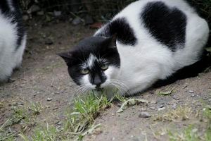 Sabrina Bild von Sabrina