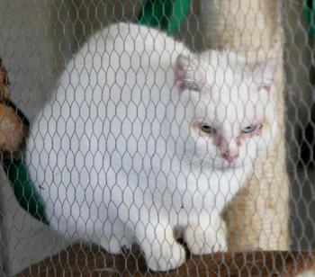 Nathan Bild von Nathan