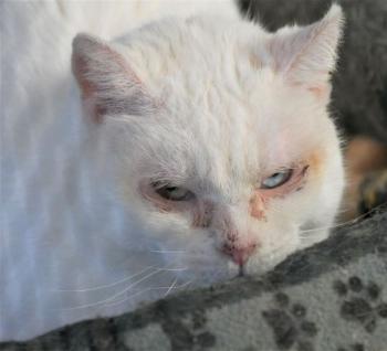 Nathan Bild von Nathan