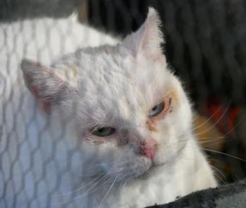 Nathan Bild von Nathan