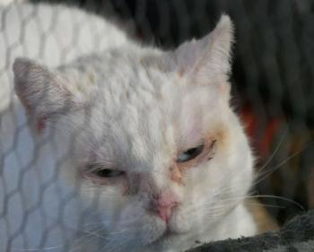 Nathan Bild von Nathan