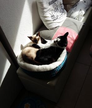 Chloe Bild von Chloe