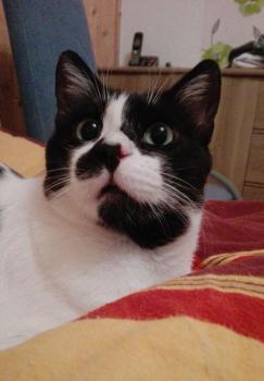 Bild von Naana