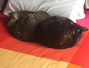 Lenny Bild von Lenny