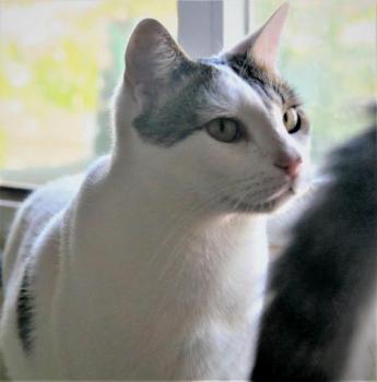 Loui Bild von Loui