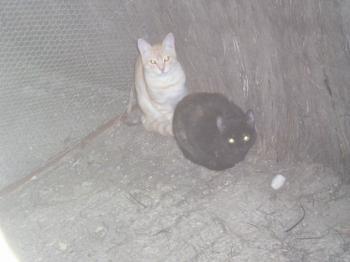 Reina und Principito Bild von Reina