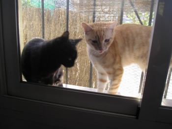 Reina und Principito Bild von Reina